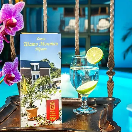 Chateau Montagne Troyan Hotel Trojan